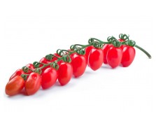 ΤΟΜΑΤΑ LOBELLO F1 1.000 ΣΠΟΡΟΙ