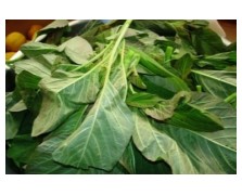 ΒΛΗΤΟ GREEN TOP 1 KG-SPOROGENESIS