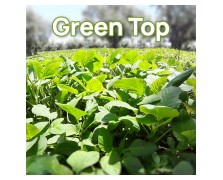 ΒΛΗΤΟ GREEN TOP 1 KG-SPOROGENESIS
