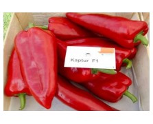 ΠΙΠΕΡΙΑ KAPTUR F1 