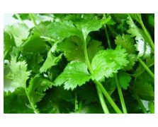 ΜΑΙΝΤΑΝΟΣ ΑΡΩΜΑΤΙΚΟΣ 500 G