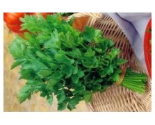 ΣΕΛΙΝΟ ΝΤΟΠΙΟ VERDE DA TAGLIO 500G