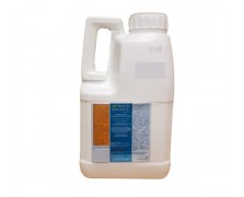 DAZINE ENHANCE 85 SG 