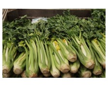 ΣΕΛΙΝΟΡΙΖΑ PIZA D ELNE 500G