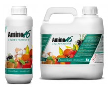 AMINO 16 ΜΕ ΒΟΡΙΟ B & ΨΕΥΔΑΡΓΥΡΟ Zn