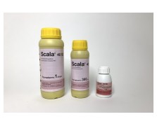 SCALA 40 SC 