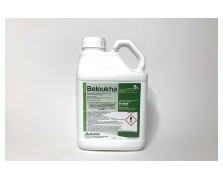 BELOUKHA 68 EC - KALINA 68 EC