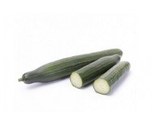 ΑΓΓΟΥΡΙ ΜΑΚΡΥ SCOTINOS F1 500 ΣΠΟΡΟΙ