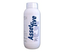 ASSET FIVE EC
