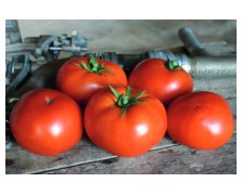 ΤΟΜΑΤΑ RED BOUNTY F1 1.000 ΣΠΟΡΟΙ