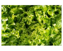 ΜΑΡΟΥΛΙ NUN 05084 