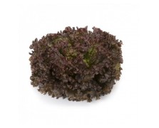 ΜΑΡΟΥΛΙ MINERAL 5.000 PILLS