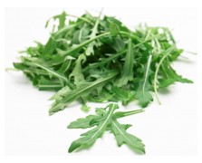 ΑΓΡΙΑ ΡΟΚΑ WILD FAST GROW