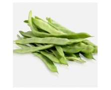 ΦΑΣΟΛΙ TREBONA 1.000 ΣΠΟΡΟΙ-GRAINES VOLTZ 