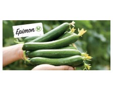 ΑΓΓΟΥΡΙ ΚΟΝΤΟ EPIMON F1 500 ΣΠΟΡΟΙ