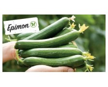 ΑΓΓΟΥΡΙ ΚΟΝΤΟ EPIMON F1 500 ΣΠΟΡΟΙ