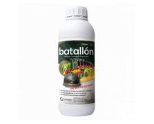 BATALLON 5 LT