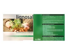 LIGNOSAL 20 LT