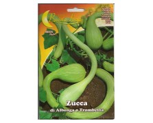 ΚΟΛΟΚΥΘΑ ZUCCA DI ALBENGA O TROMBETTA