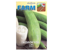 ΚΟΛΟΚΥΘΑ LUFFA