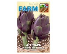 ΑΓΚΙΝΑΡΑ VIOLETTO DI ROMAGNA