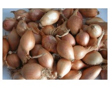 ΚΟΚΚΑΡΙ ΧΟΝΔΡΟ ΘΕΣΠΙΩΝ 1 KG