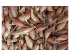 ΚΟΚΚΑΡΙ ΨΙΛΟ ΘΕΣΠΙΩΝ 1 KG