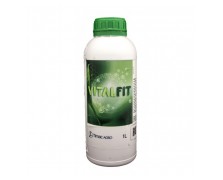 VITALFIT
