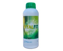 VITALFIT