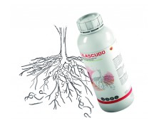 LILASCUDO