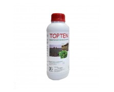 TOPTEN