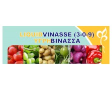 ΥΓΡΗ ΒΙΝΑΣΣΑ 3-0-9 LIQUIDVINASSE
