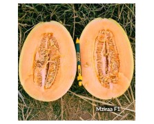 ΠΕΠΟΝΙ MZIRRA F1