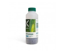 CHRYSOPA