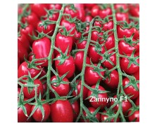 ΤΟΜΑΤΑ ZANNYNO F1