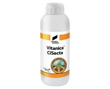 VITANICA CISECTA 