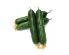 ΑΓΓΟΥΡΙ ΜΙΝΙ BEAUTYSUN RZ F1