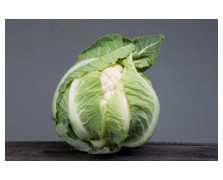 ΚΟΥΝΟΥΠΙΔΙ ARDENT F1 2.500 ΣΠΟΡΟΙ