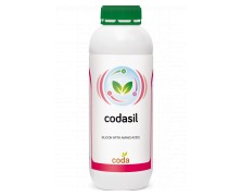 CODASIL