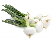 ΑΣΠΡΟ ΚΡΕΜΜΥΔΙ BIANCA DI MAGGIO