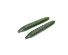 ΑΓΓΟΥΡΙ ΜΑΚΡΥ NESTOS RZ F1