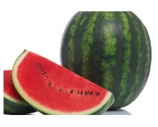 ΚΑΡΠΟΥΖΙ SENSEI F1 1.000 ΣΠΟΡΟΙ