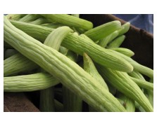 ΞΥΛΑΓΓΟΥΡΟ 25 GR