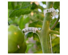 ΕΛΑΣΤΙΚΟ ΣΤΗΡΙΓΜΑ ΣΤΑΥΡΟΥ ΤΑΞΙΑΝΘΙΑΣ · OPTI FLEX ARCH (6mm)