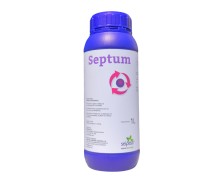 SEPTUM